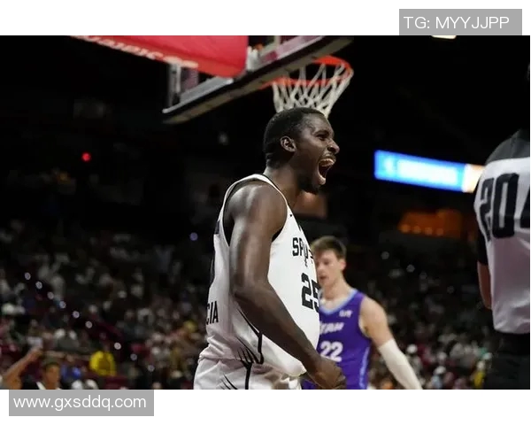 米奇·约翰逊:我们陷入了被动追赶局面 公牛提速方面做得很好